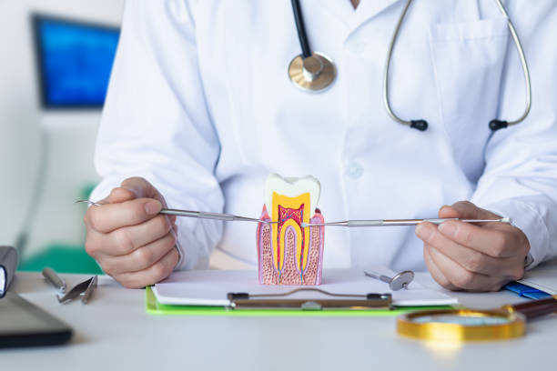 Best After-Hours Dental Trauma Care in Evans City, PA